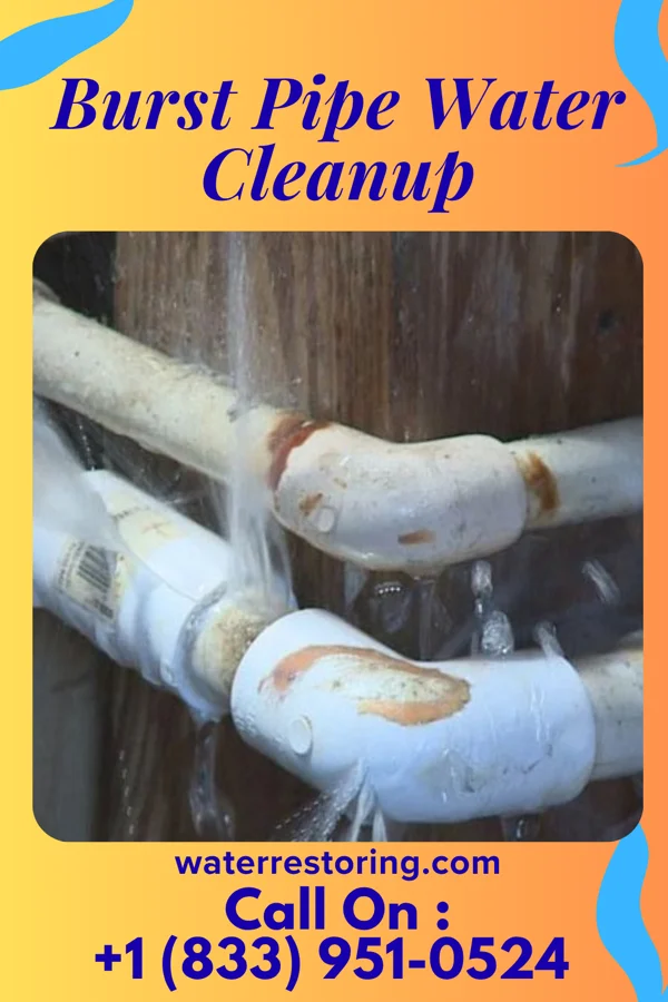 Burst Pipe Water Cleanup in Rensselaer, MO