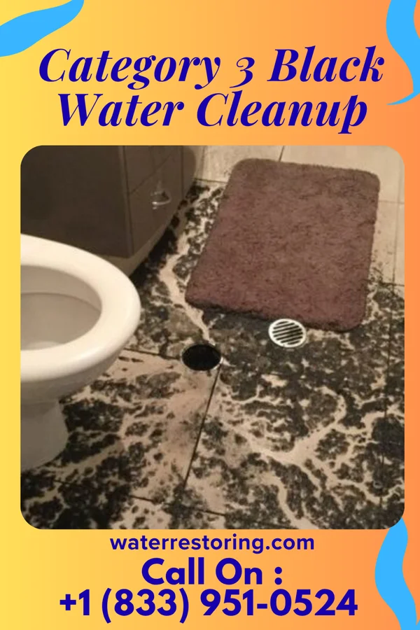Category 3 Black Water Cleanup in Rensselaer, MO